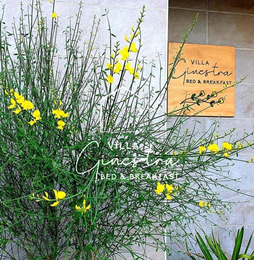 פסקרה B&B Villa Ginestra מראה חיצוני תמונה